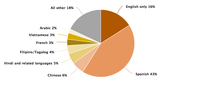 Percentages of languages spoken at home by immigrants; 43% Spanish, English 16%, Hindi and related languages 5%